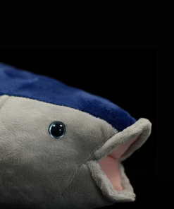 thon-bleu-mignon-pour-enfant